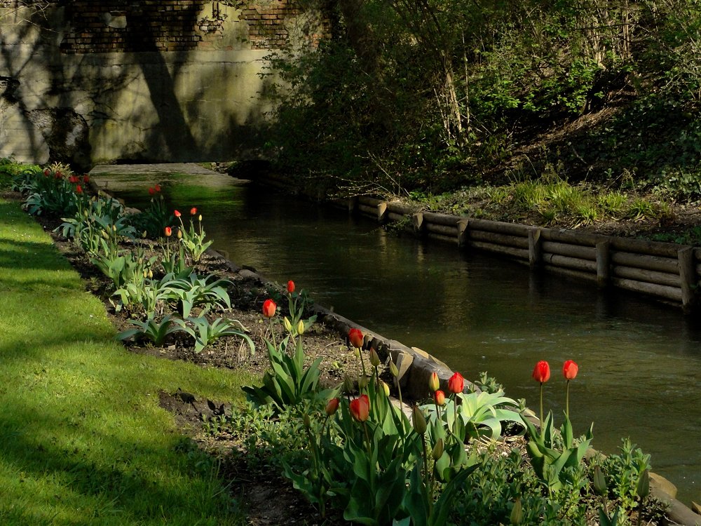 Tulpen.Stadt.Graben [Meine Augsburger Ansichten]