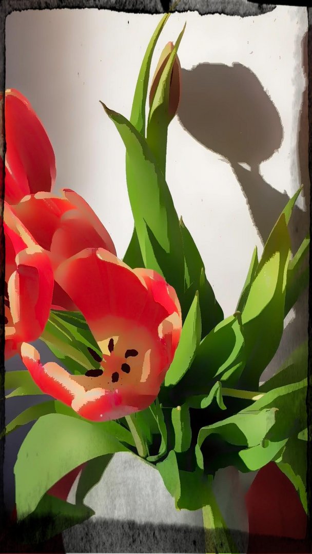 Tulpenstilleben - Tulpen gleich Frühling..