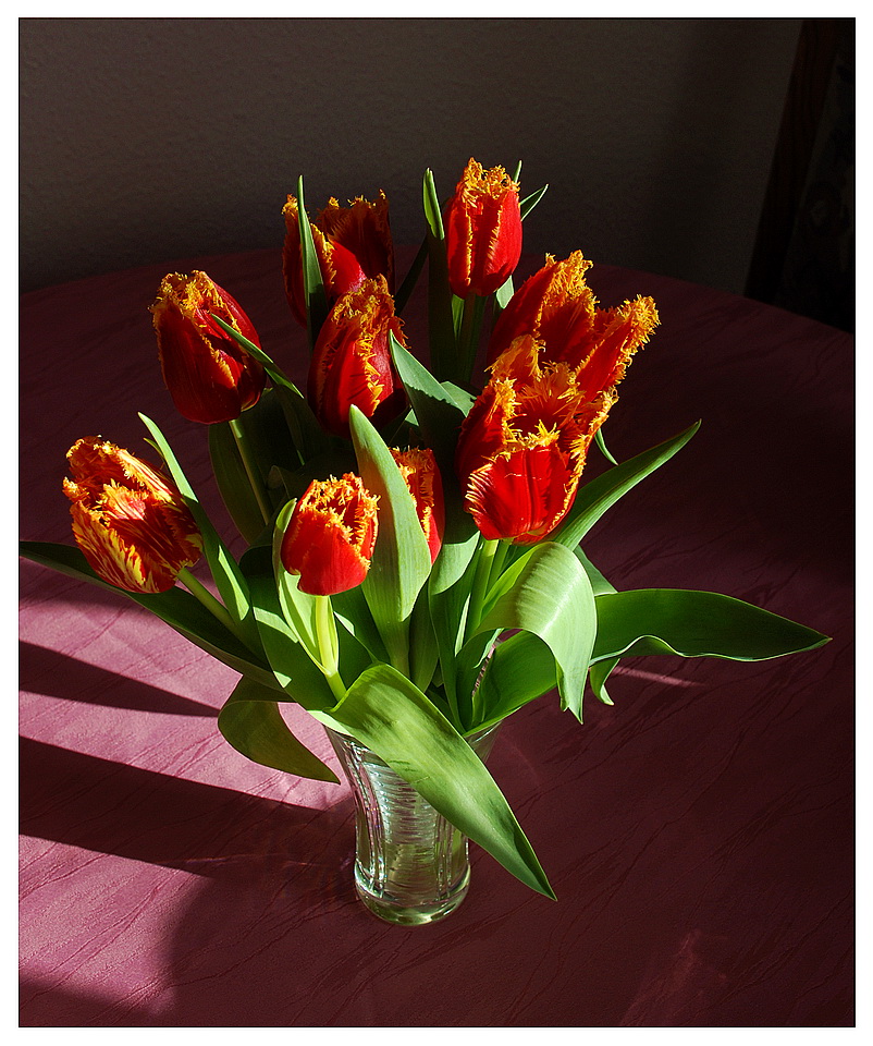 Tulpenstrauß