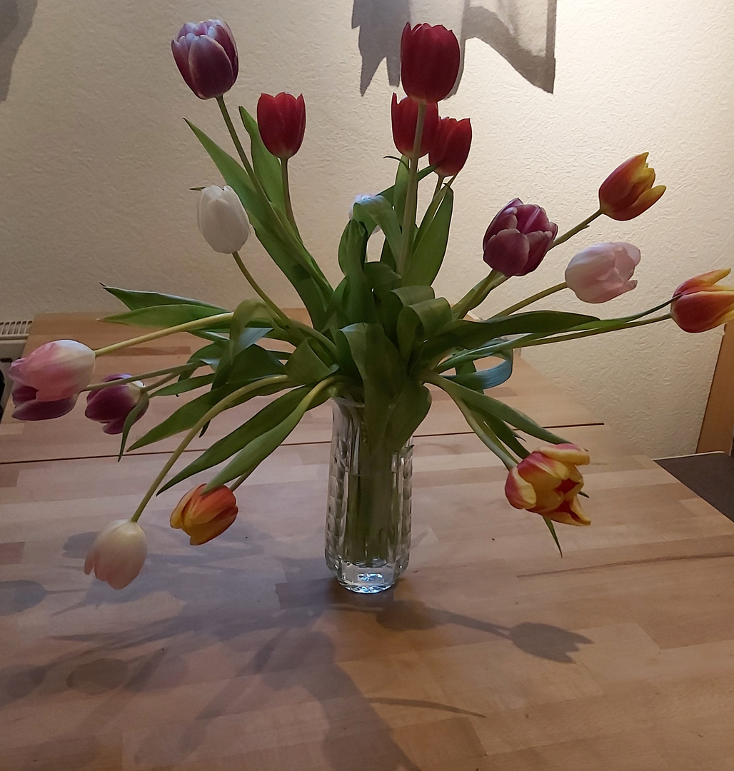 Tulpenstrauß abstrakt.