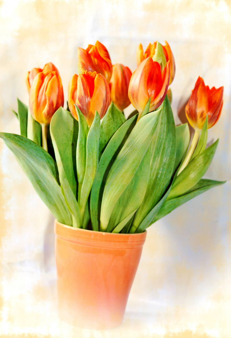 Tulpenstrauß