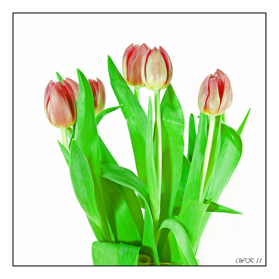 Tulpenstrauss - ein kleiner Frühlingsgruss