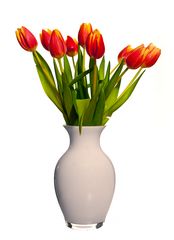 Tulpenstrauß