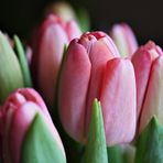 Tulpenstrauß - vorher -