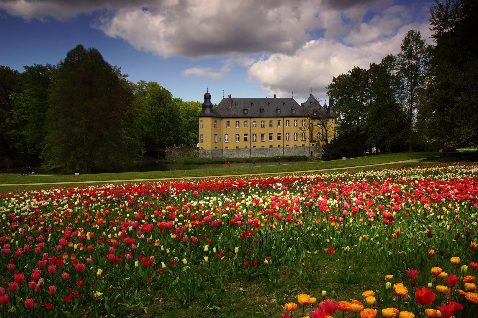 Tulpenvielfalt im Dycker Schlossgarten 1