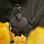 Tulpenwächter...;-)))