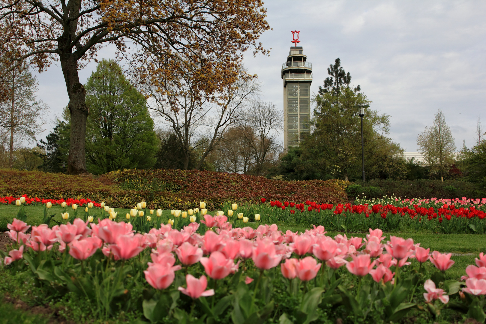 Tulpenzeit im Grugapark Essen