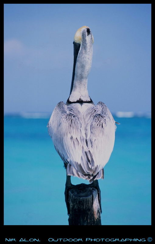 Tulum, 2003