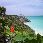 Tulum