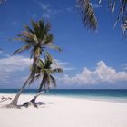 Tulum Beach I