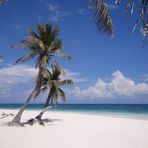 Tulum Beach I