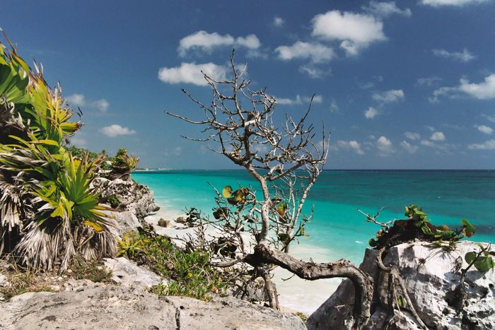 Tulum im Januar 2004