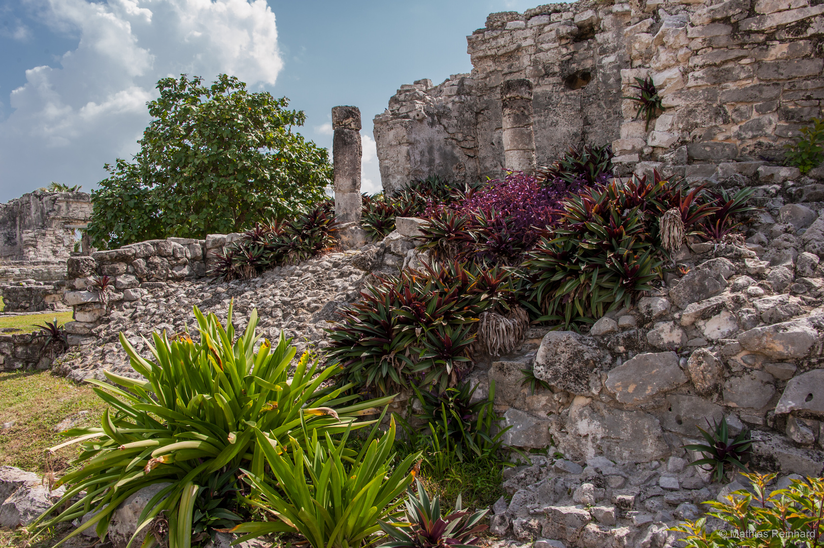 Tulum - Impressionen # 04