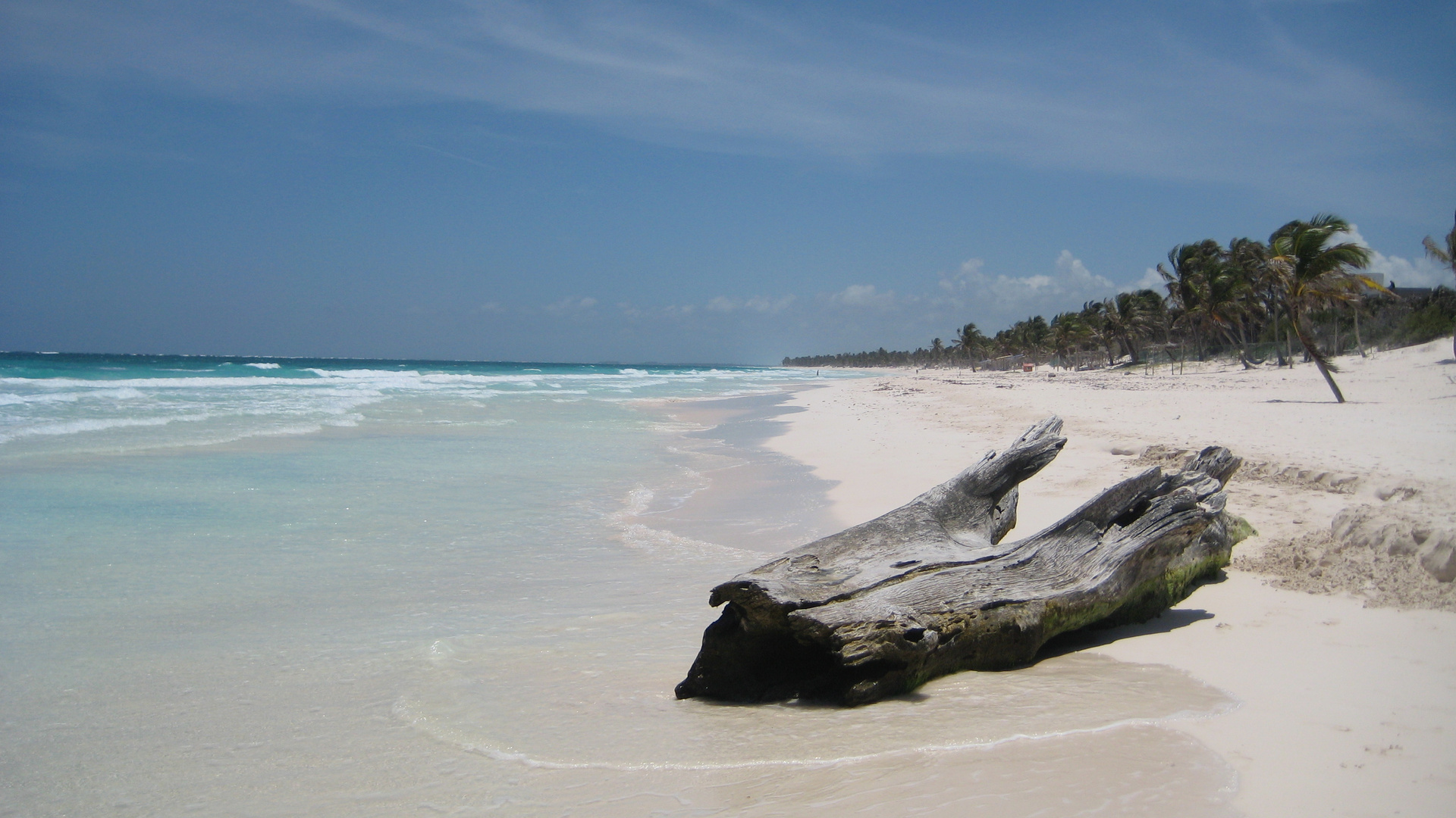 Tulum - La Zebra