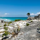 Tulum - Mexico