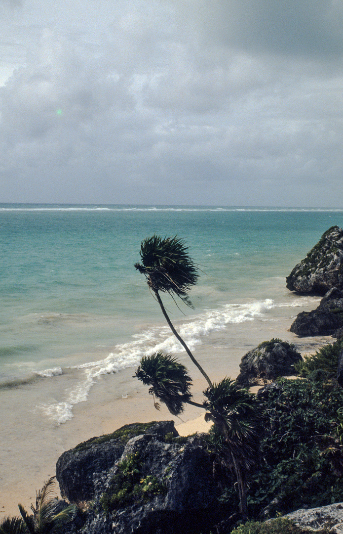 Tulum - Strand