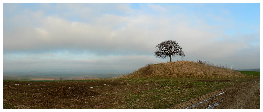 Tumulus bei Klein Vahlberg, heute gesehen auf einem Spaziergang