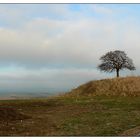 Tumulus bei Klein Vahlberg, heute gesehen auf einem Spaziergang