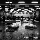 Tuna-Beschau Tsukiji-Fischmarkt II