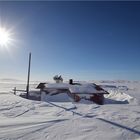 Tundra-Fin-Lapland