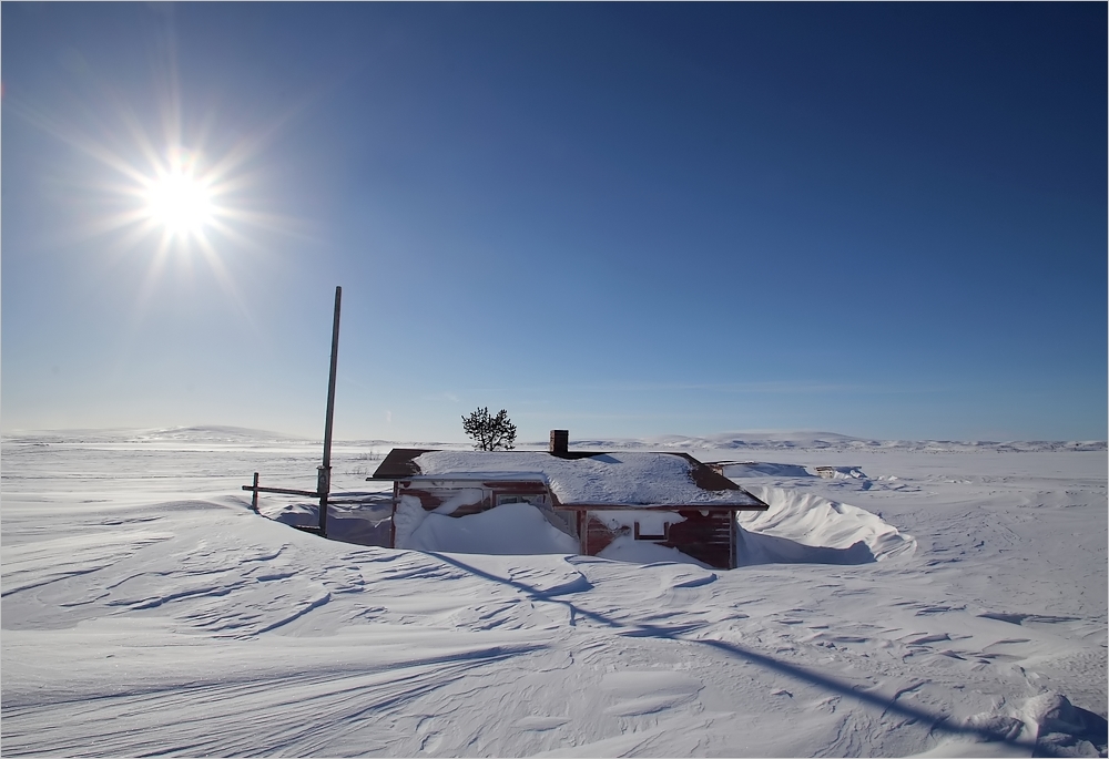 Tundra-Fin-Lapland