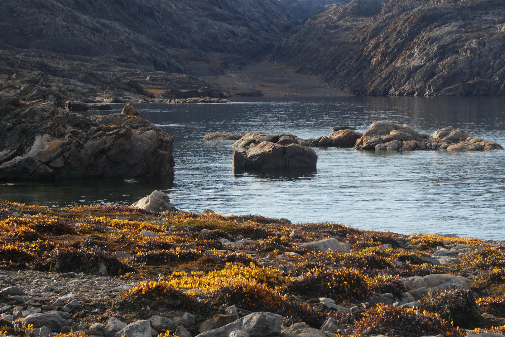 Tundra im August