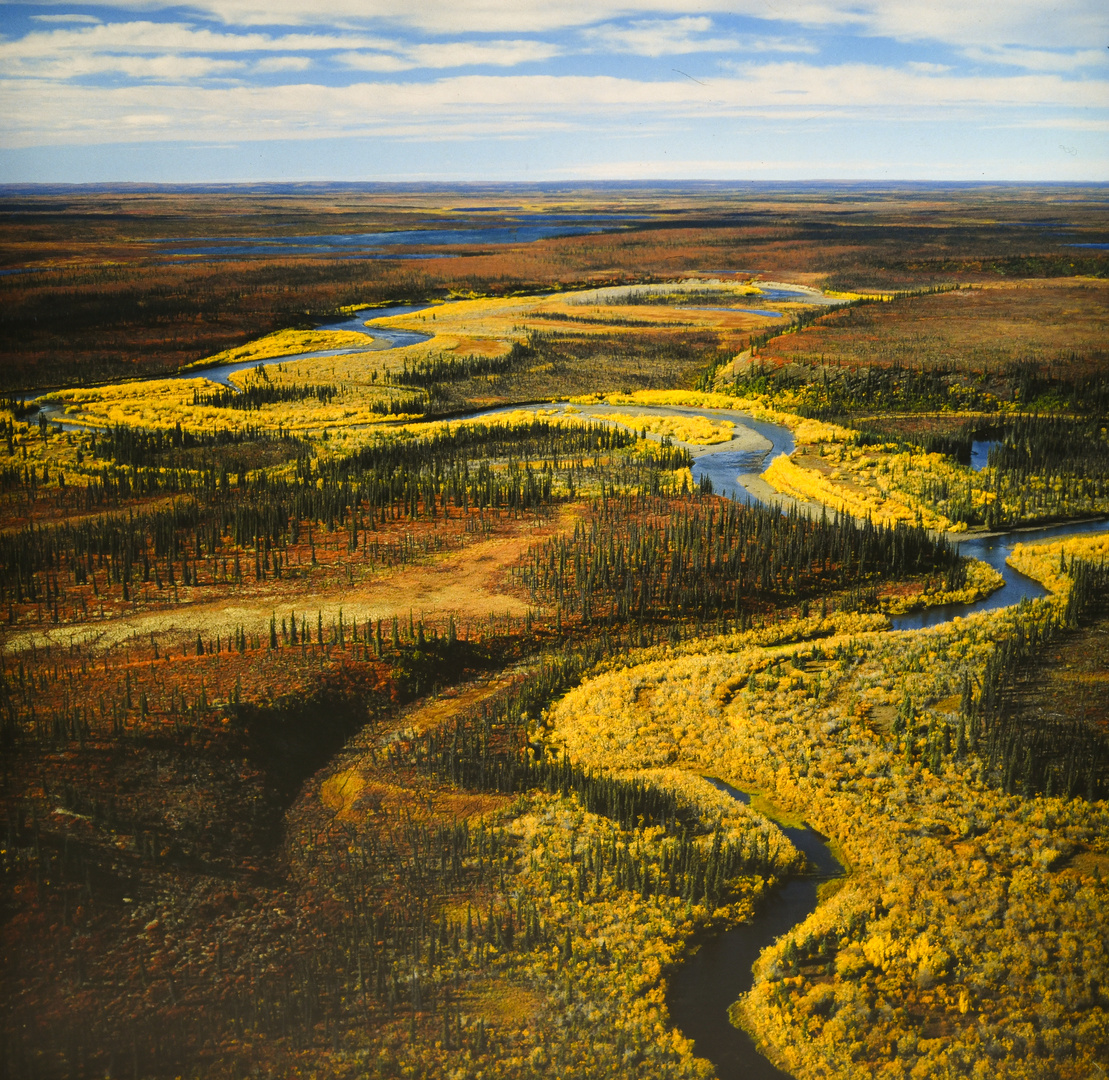 Tundra im Herbst