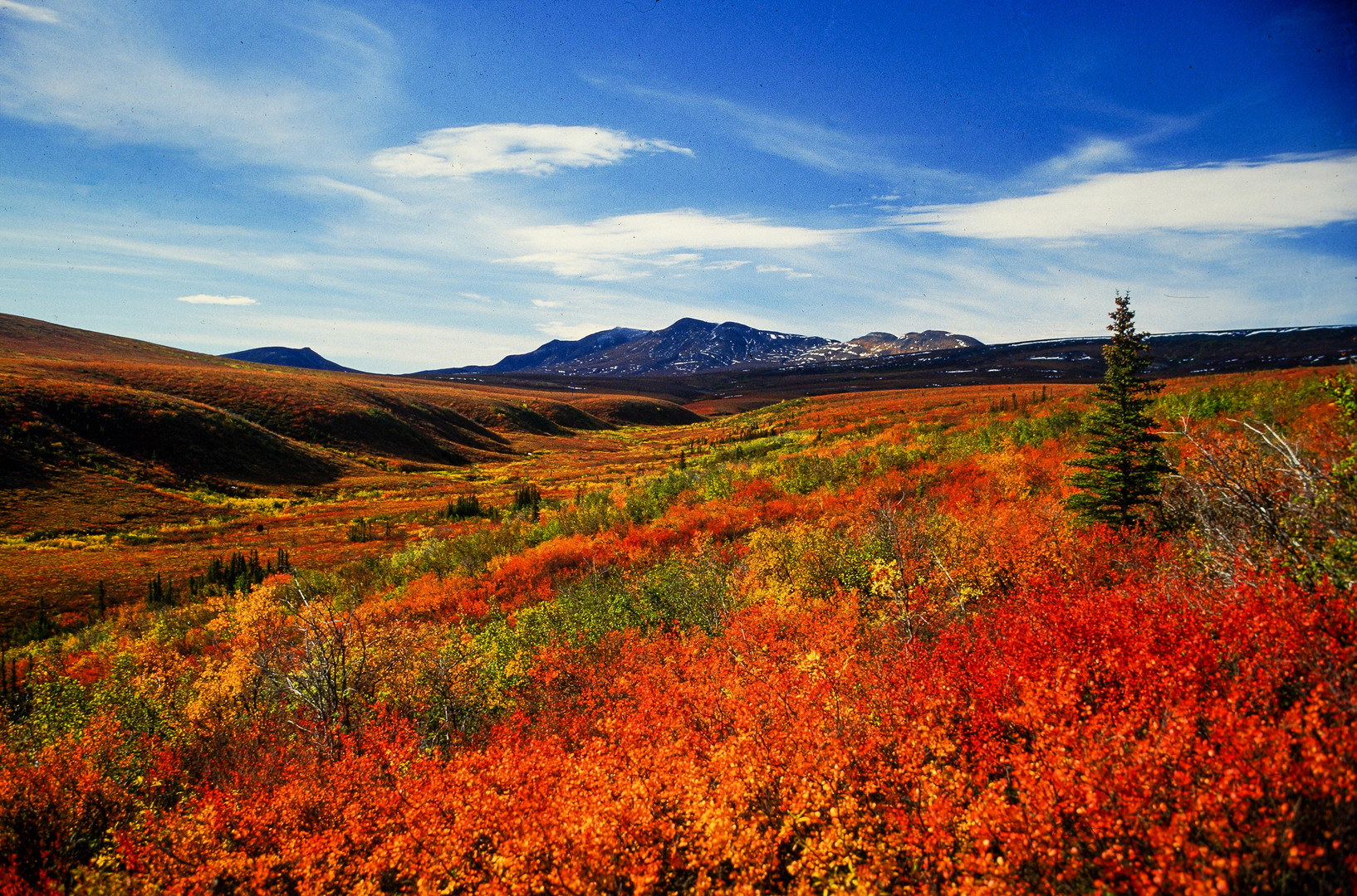 Tundra im Herbst