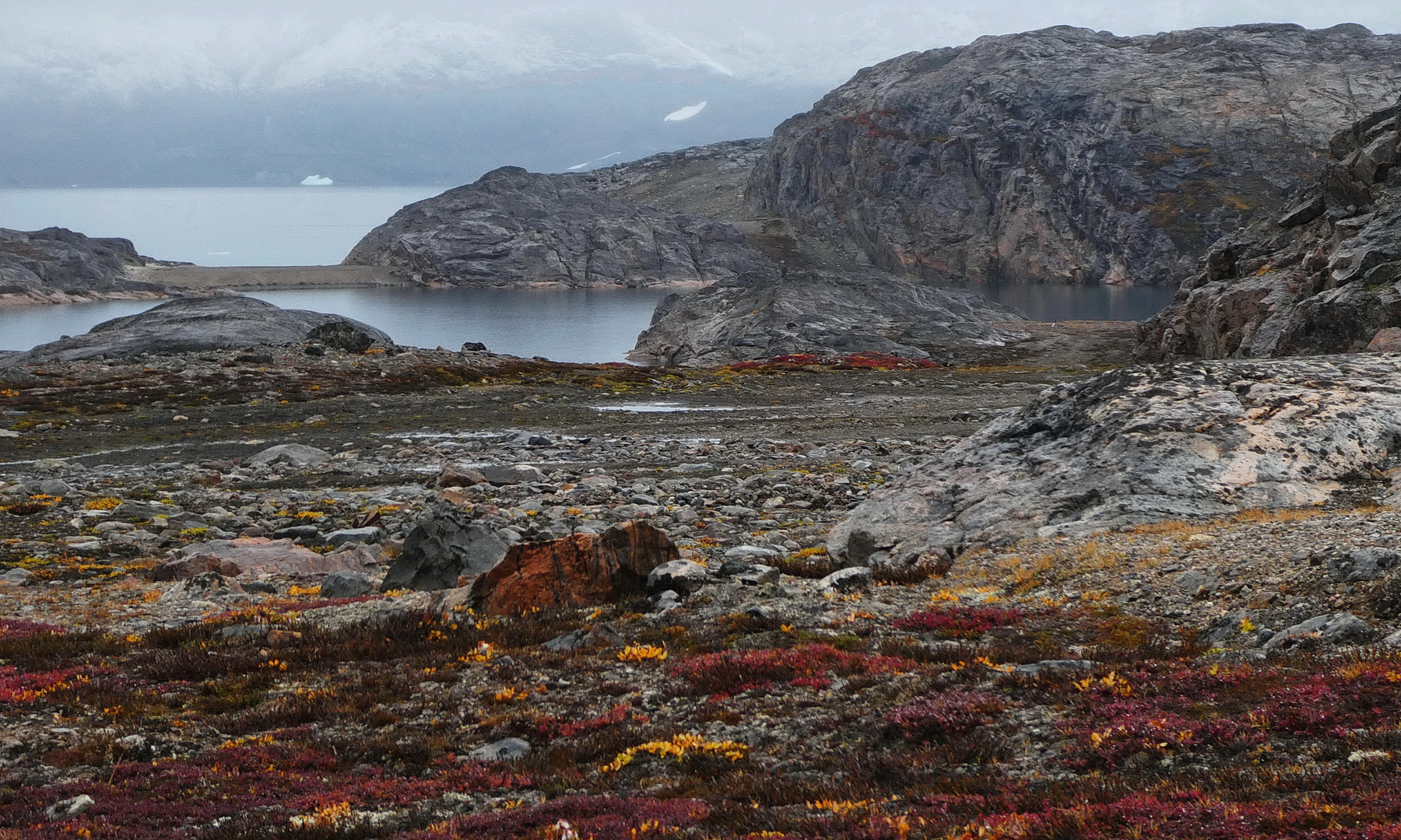 Tundra im Herbst  Sept. 2019