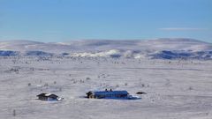 Tundra in Nordfinnland