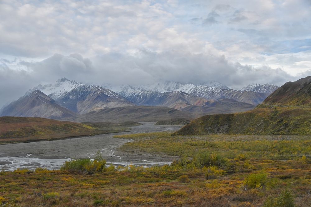 Tundra Landscape