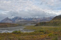 Tundra Landscape