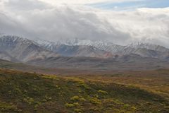 Tundra Landschaft