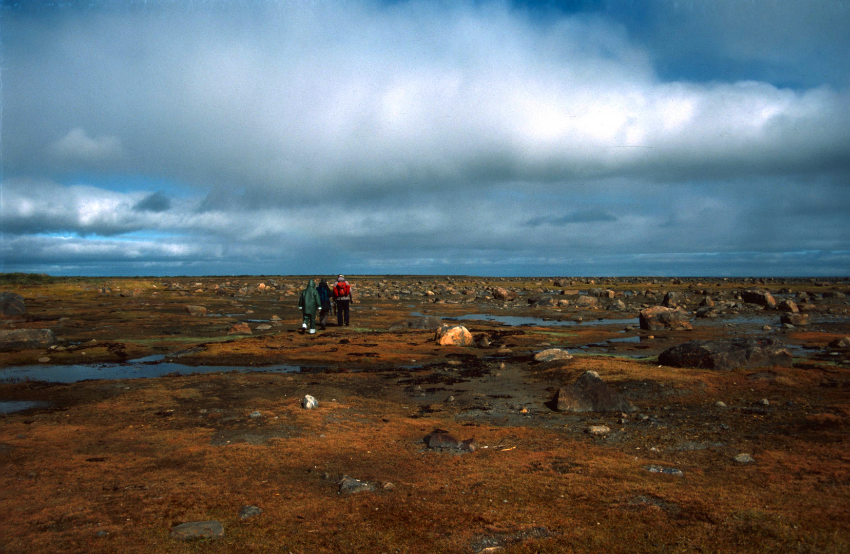 Tundra near Seal River Lodge - 1995 (1)