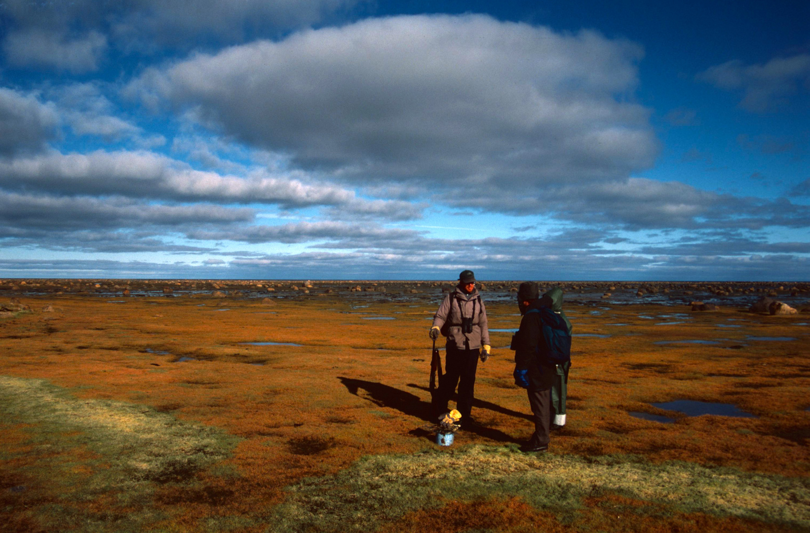 Tundra near Seal River Lodge (3)