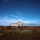 Tundra near Seal River Lodge - (4)