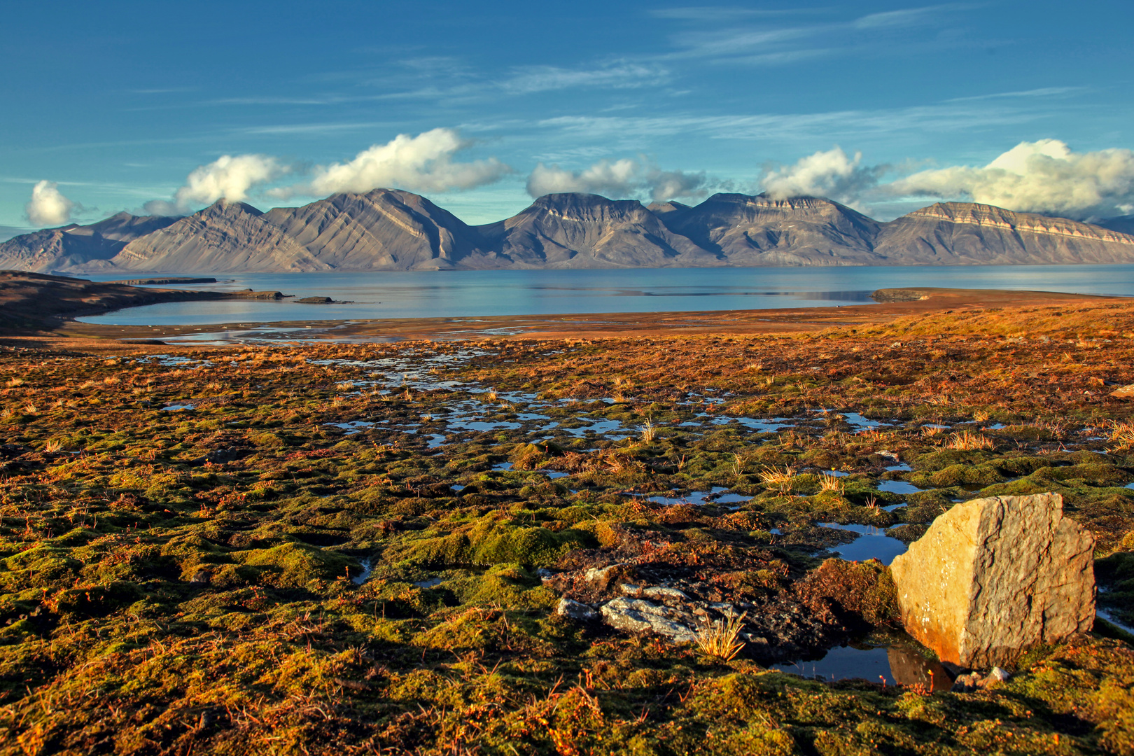 Tundra Spitzbergens