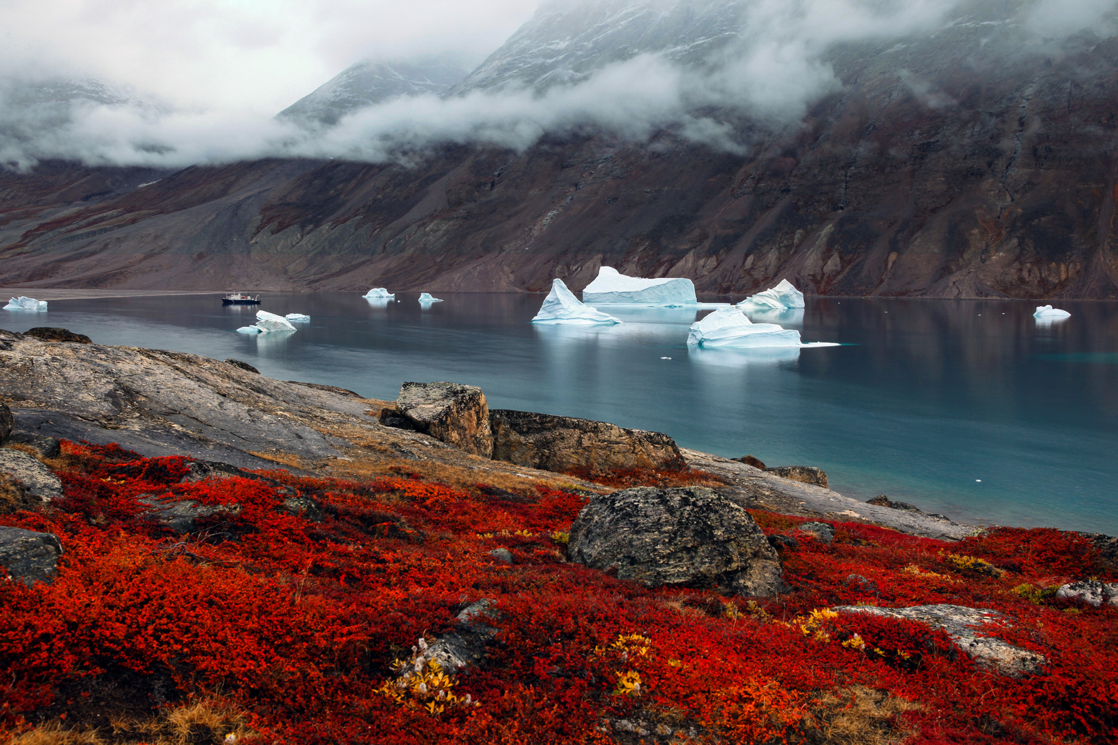 Tundra und Eisberge