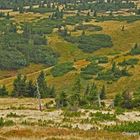 Tundralandschaft im Riesengebirge