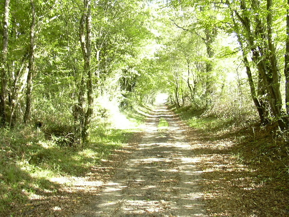 tunel de lumière