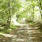 tunel de lumière