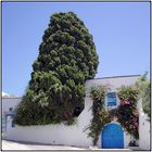 Tunesien 02 Fassade in Sidi Bou Said