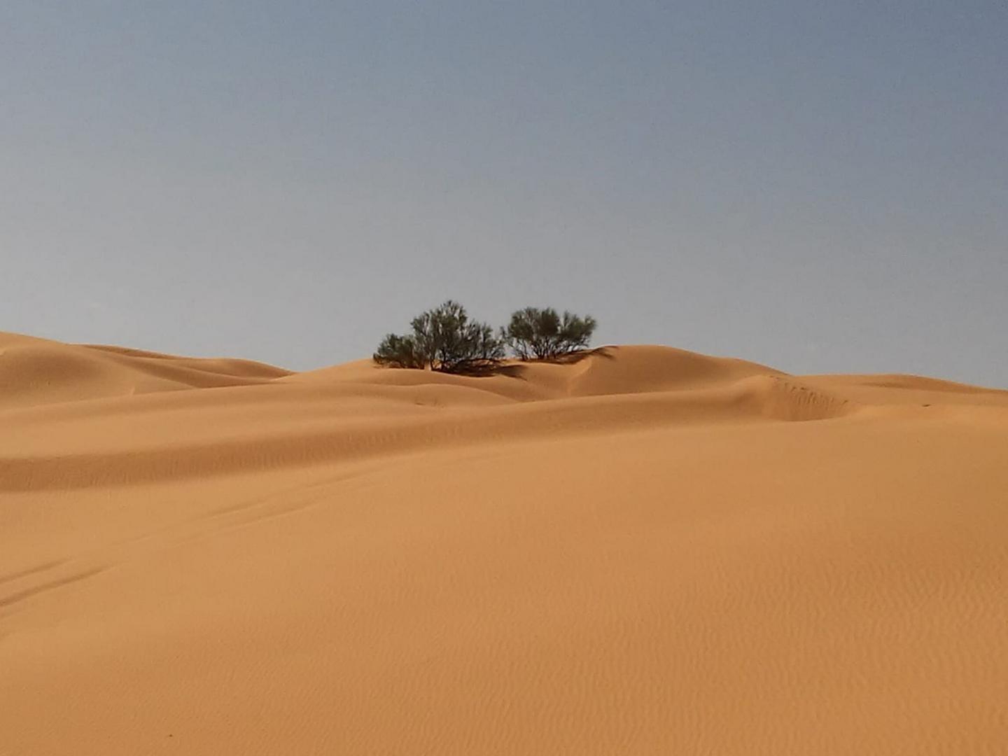 Tunesien 2, Sand satt