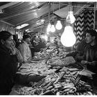 Tunesien - Alltag - Fischmarkt 2