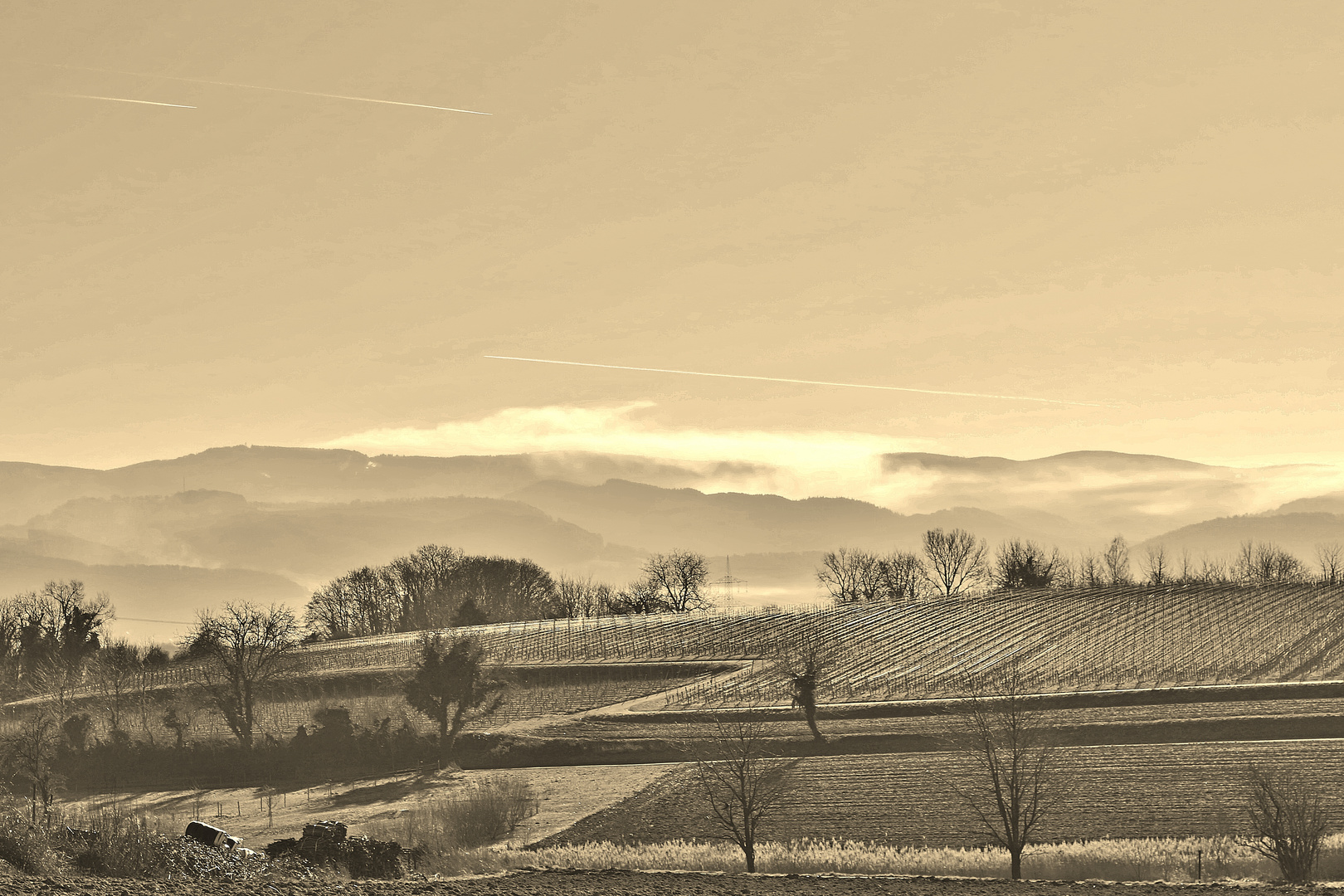 Tuniberg in Sepia