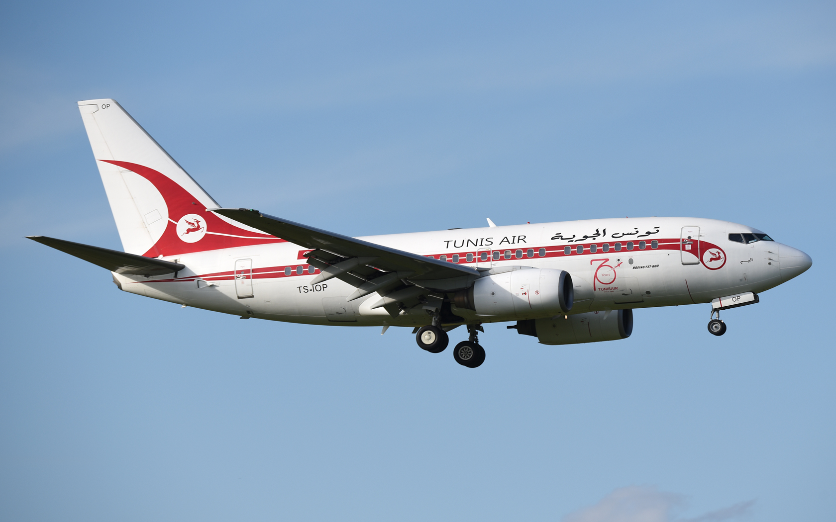 Tunis Air Boeing 737-6H3 TS-IOP 