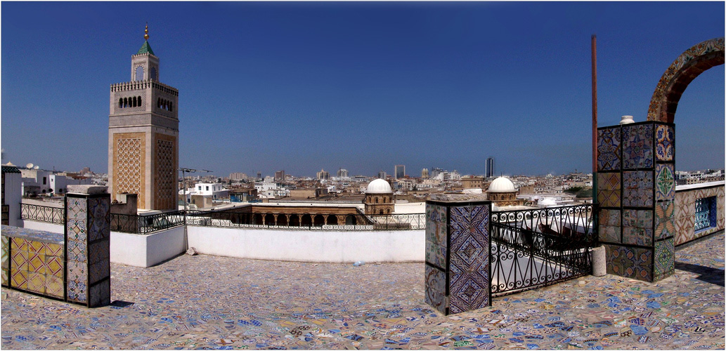 Tunis Panorama