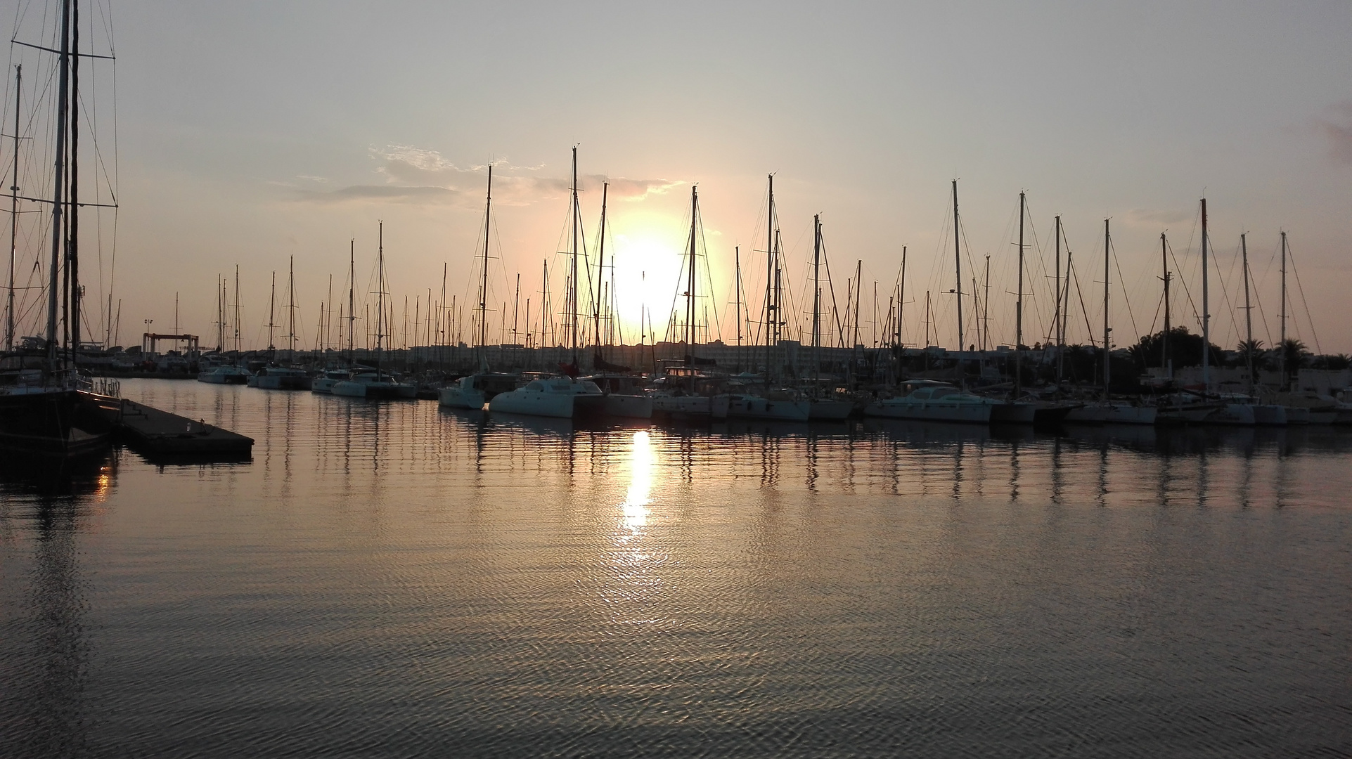 tunis-y.ha1 (155)SU-Hafen