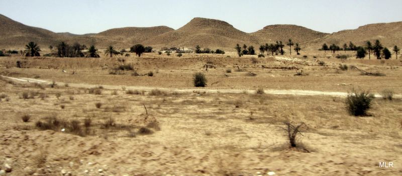 Tunisian Landscape