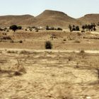 Tunisian Landscape